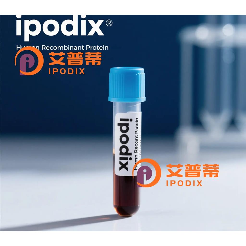 IL11抗体;IL11 Antibody—艾普蒂