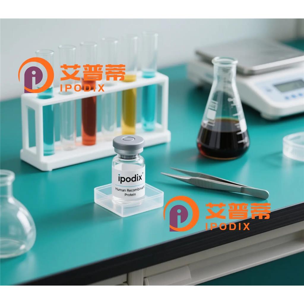 ETAA1抗体;ETAA1 Antibody—艾普蒂