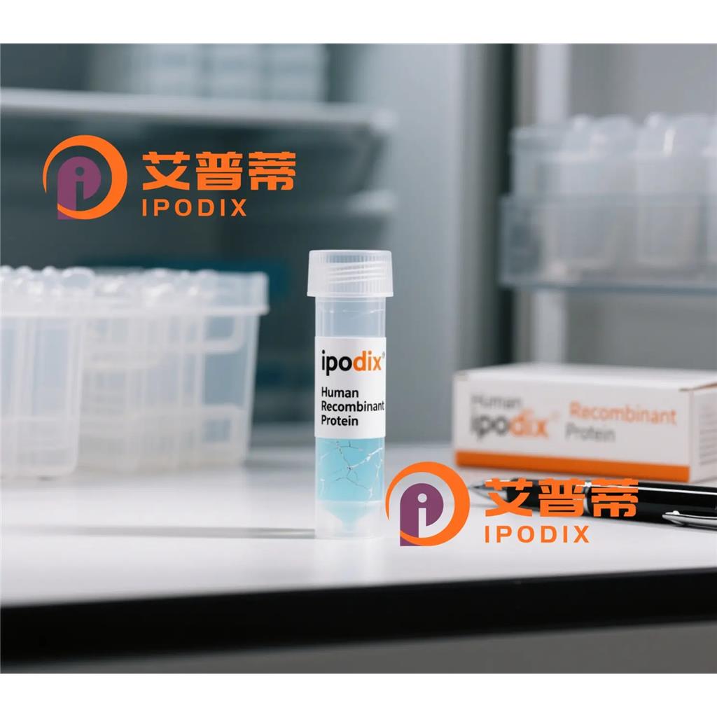 EVX1抗体;EVX1 Antibody—艾普蒂