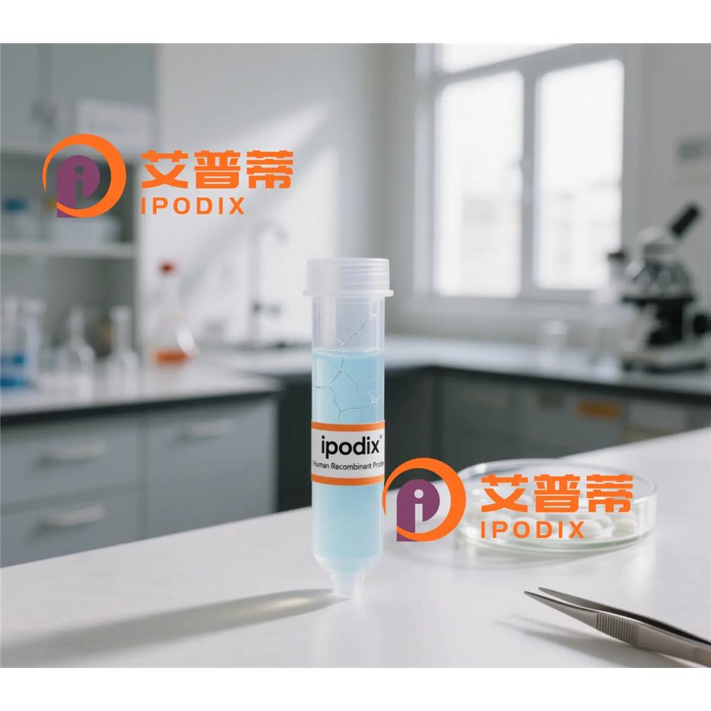 METTL17抗体;METTL17 Antibody—艾普蒂