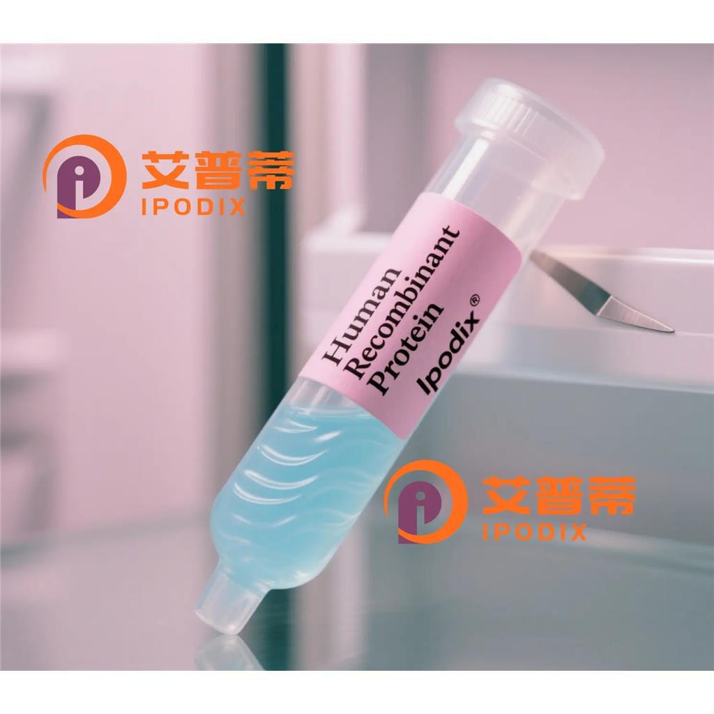 F13B抗体;F13B Antibody—艾普蒂