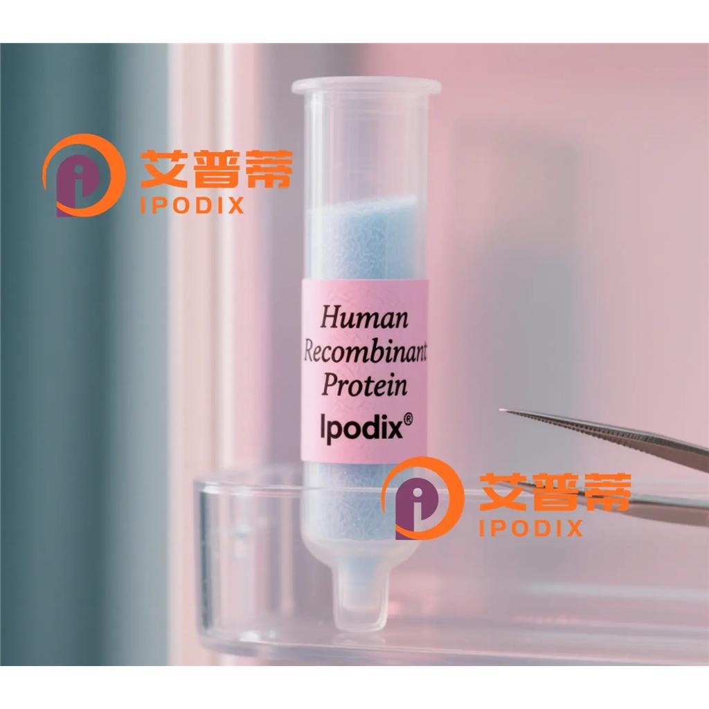FBXO31抗体;FBXO31 Antibody—艾普蒂