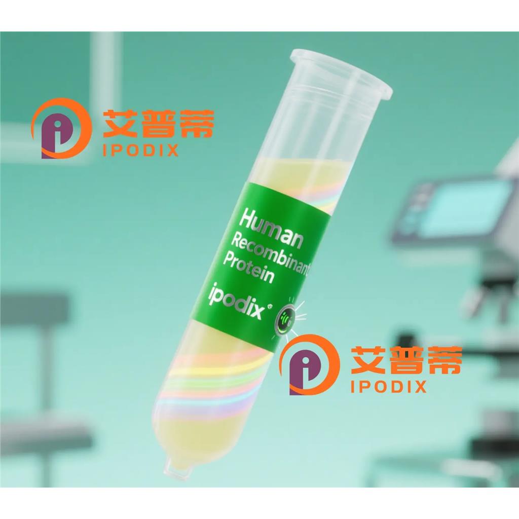 FBXW8抗体;FBXW8 Antibody—艾普蒂