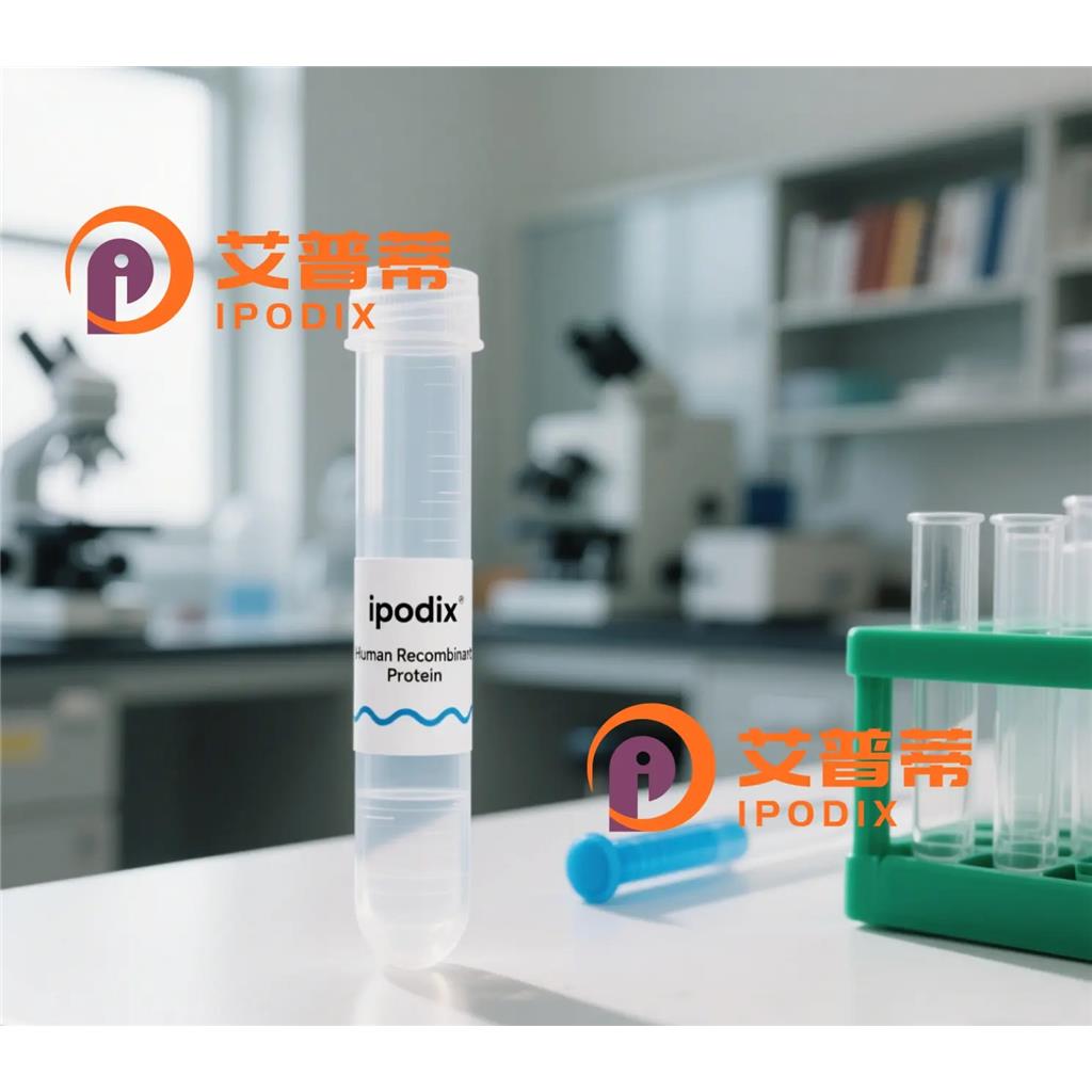 SLC40A1抗体;SLC40A1 Antibody—艾普蒂