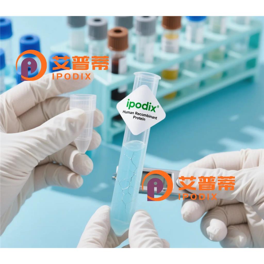 FLNC抗体;FLNC Antibody—艾普蒂