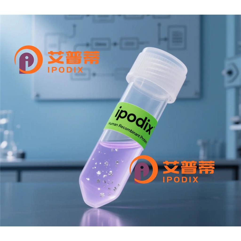 GAB4抗体;GAB4 Antibody—艾普蒂