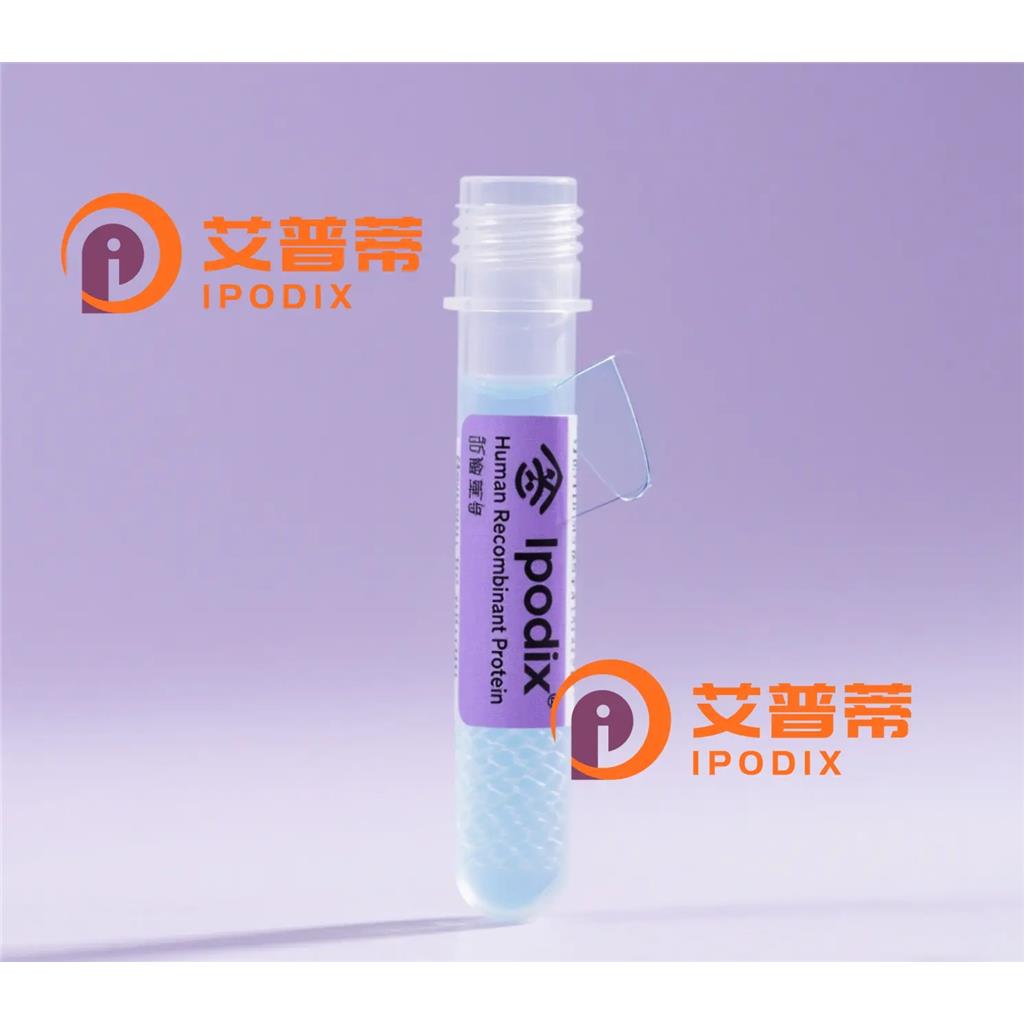 GART抗体;GART Antibody—艾普蒂