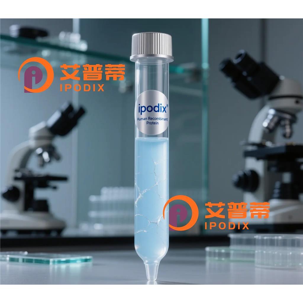 GOLGA6A抗体;GOLGA6A Antibody—艾普蒂
