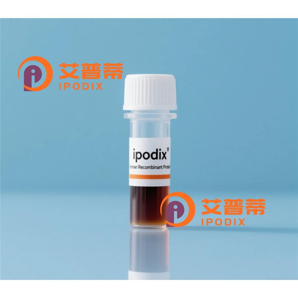 HBB抗体;HBB Antibody—艾普蒂