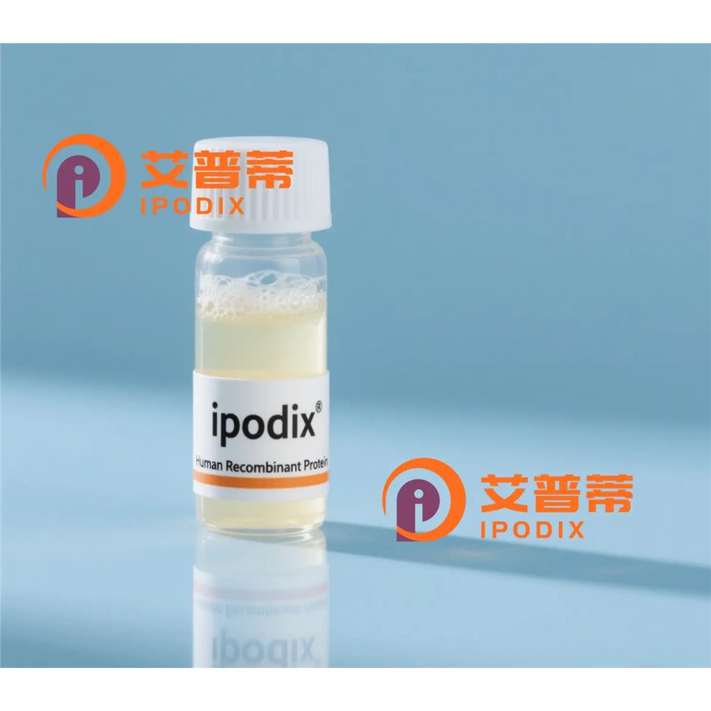 GRIK5抗体;GRIK5 Antibody—艾普蒂