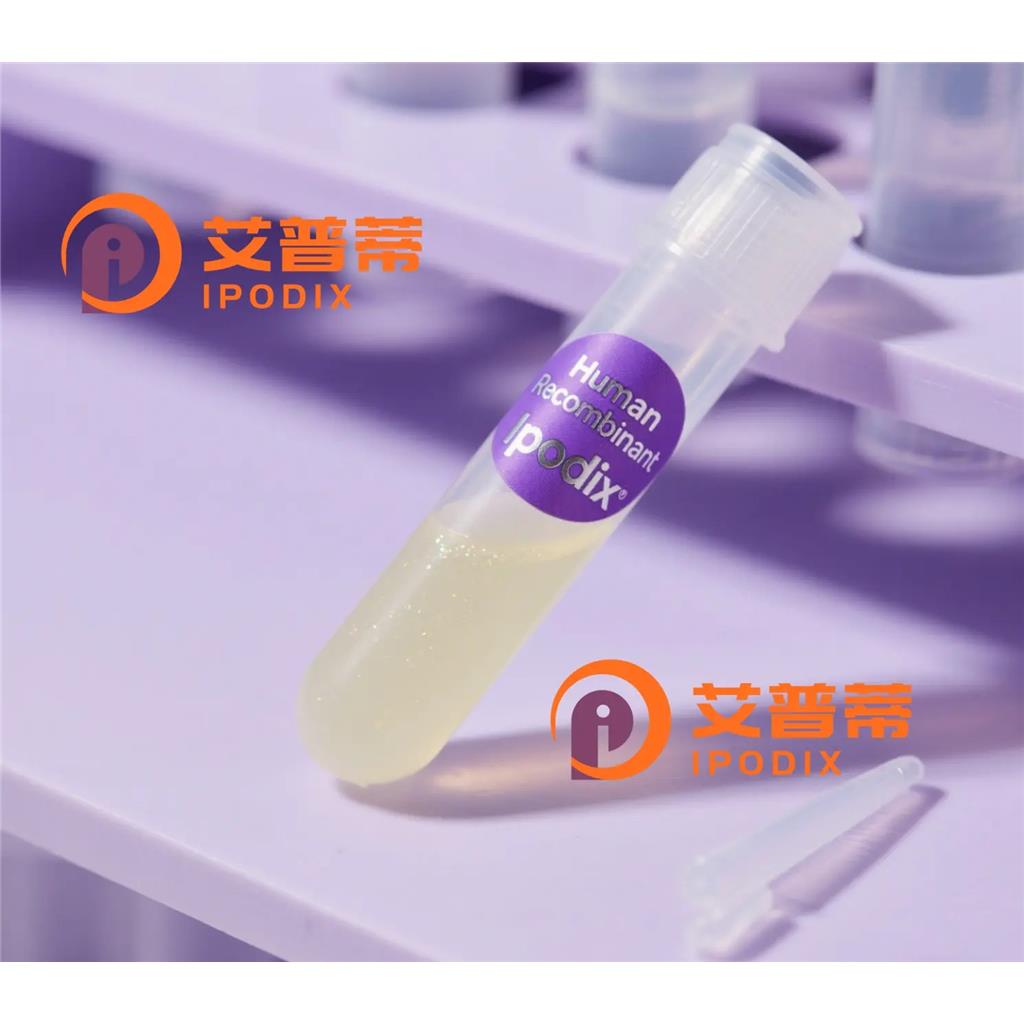 HSF2BP抗体;HSF2BP Antibody—艾普蒂