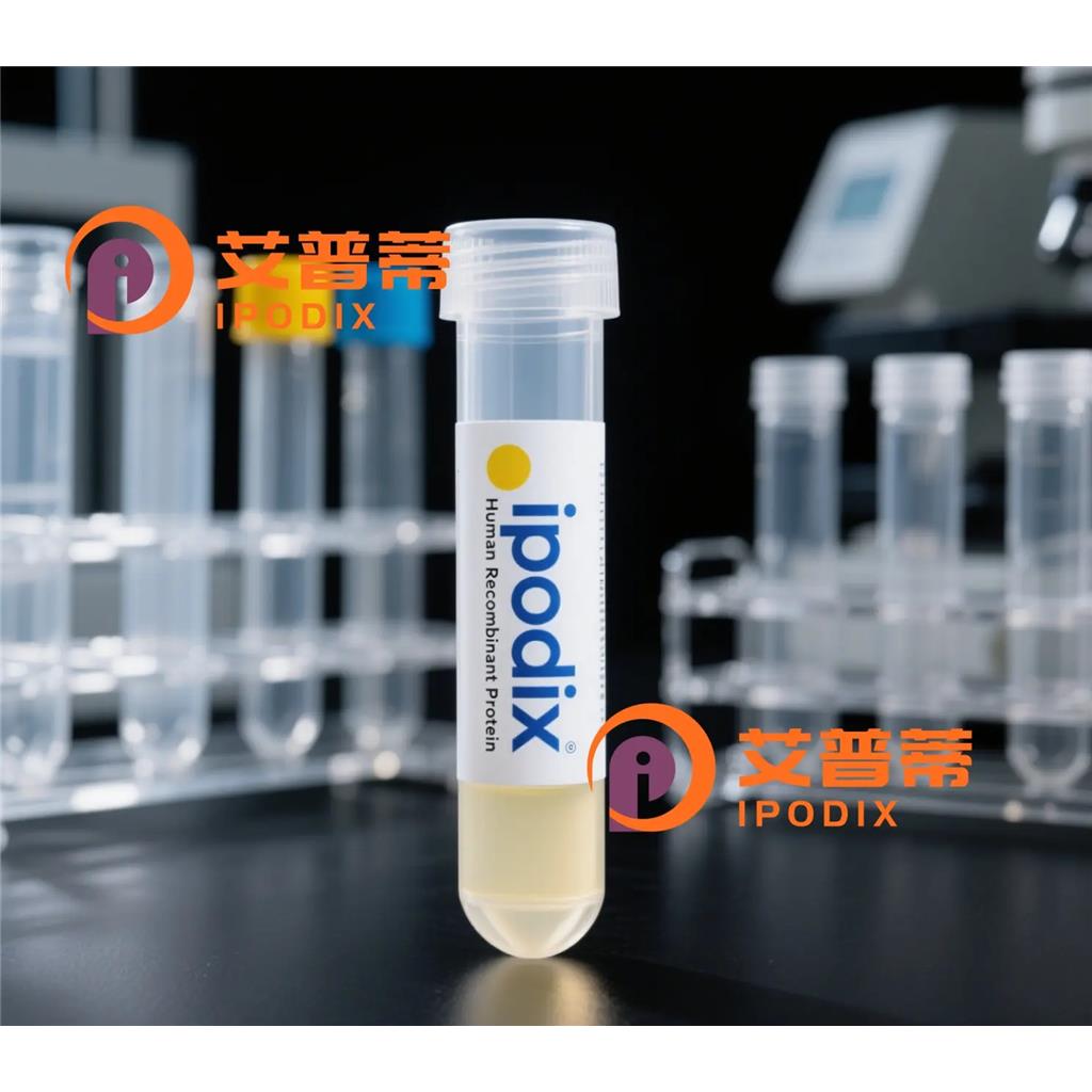 H1-3抗体;H1-3 Antibody—艾普蒂