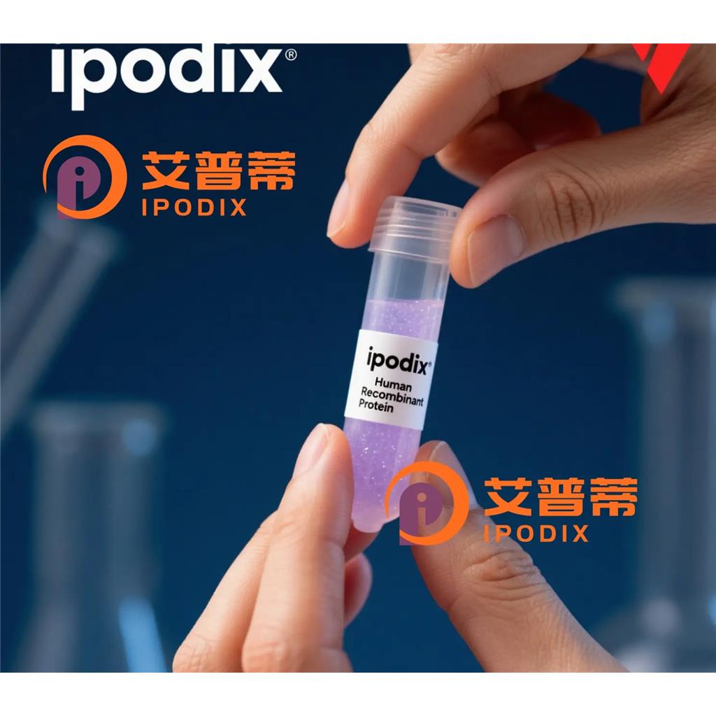 HPS6抗体;HPS6 Antibody—艾普蒂