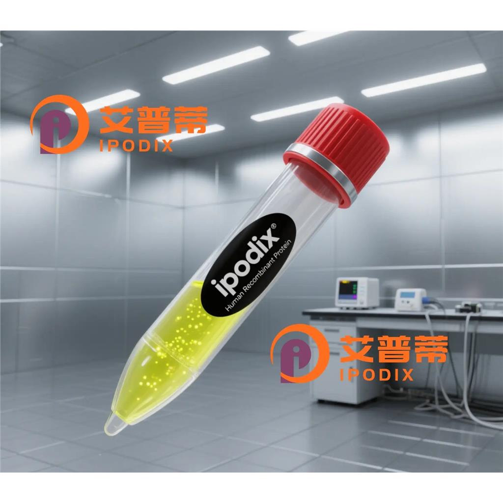 INO80抗体;INO80 Antibody—艾普蒂