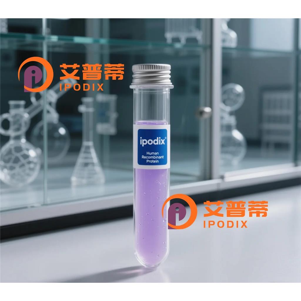 ISY1-RAB43抗体;ISY1-RAB43 Antibody—艾普蒂