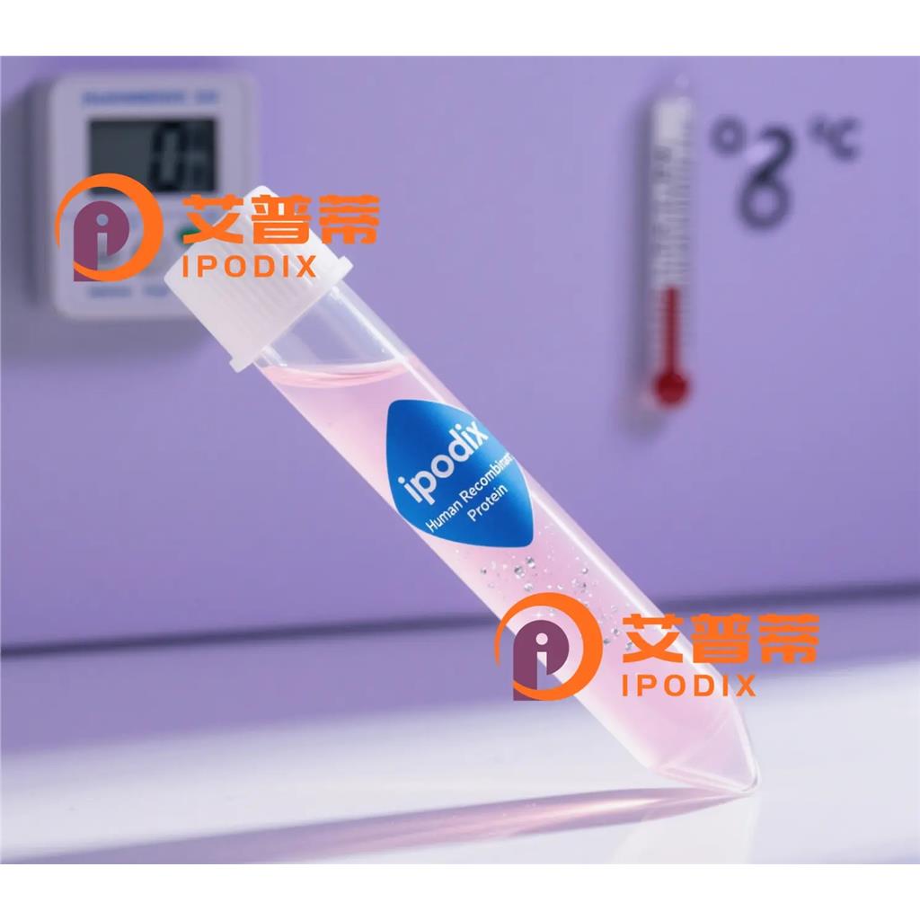 KDM7A抗体;KDM7A Antibody—艾普蒂