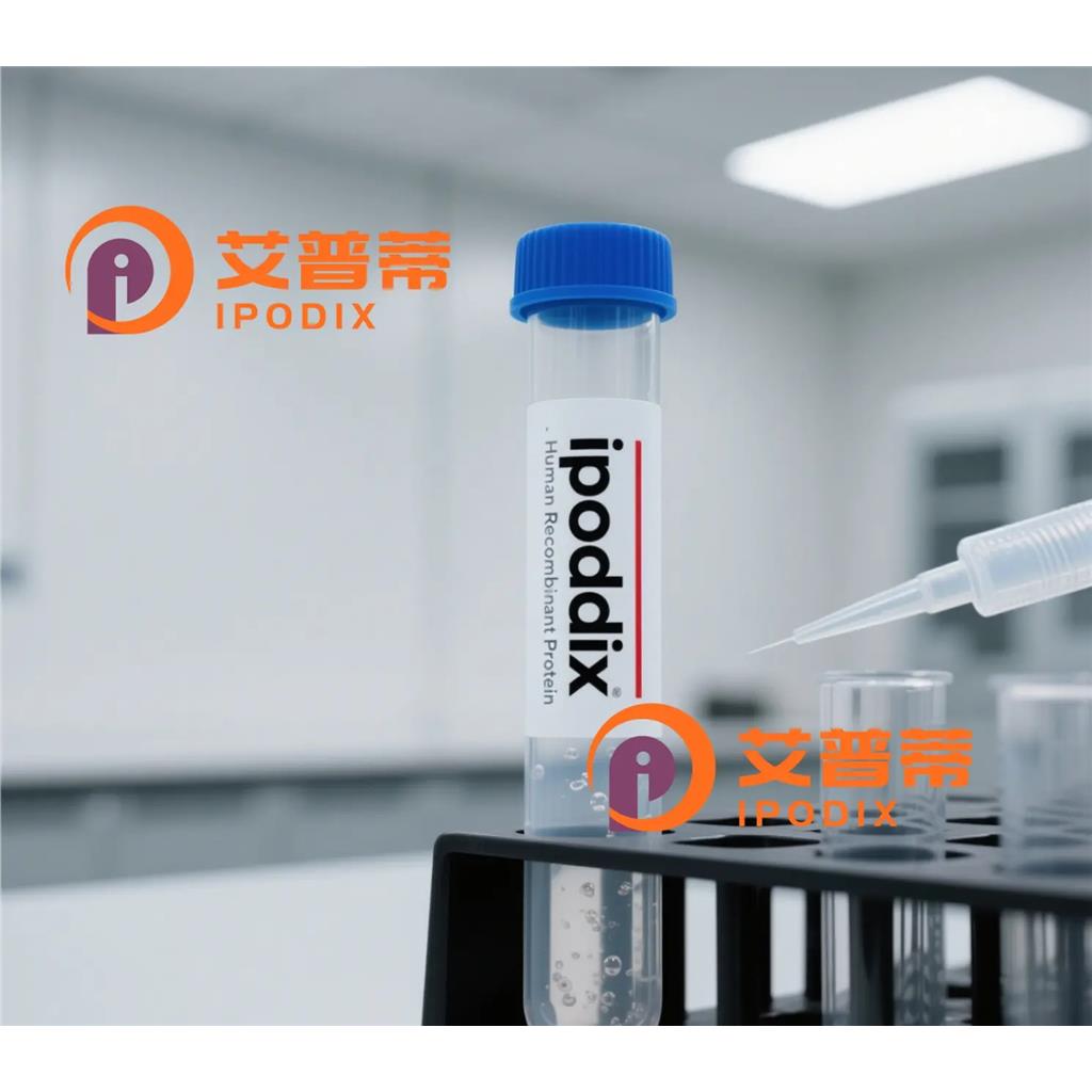 SLC12A5抗体;SLC12A5 Antibody—艾普蒂