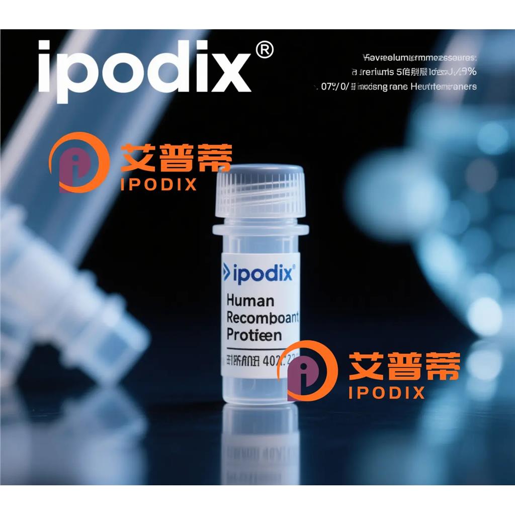 NNMT抗体;NNMT Antibody—艾普蒂