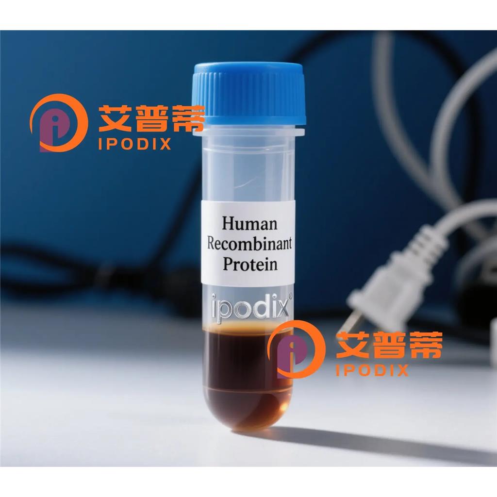 NNMT抗体;NNMT Antibody—艾普蒂