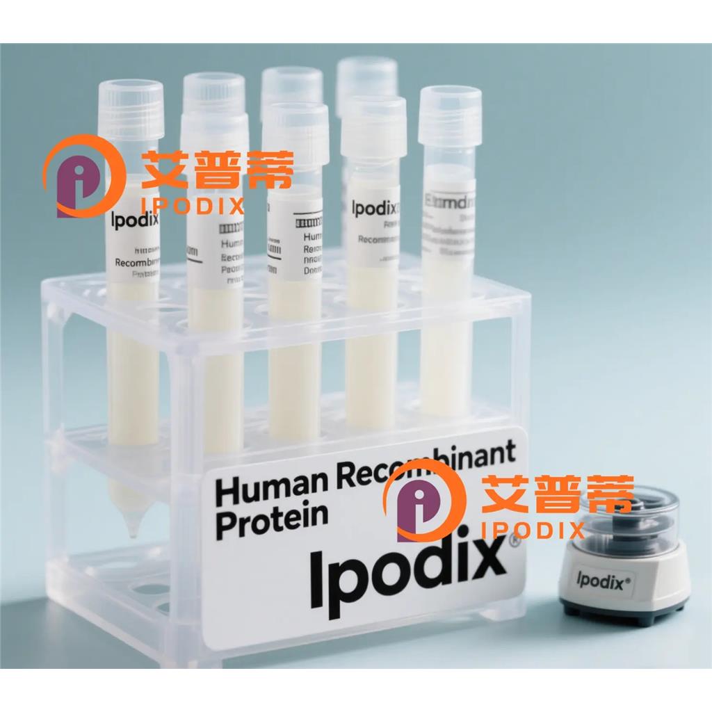 NNMT抗体;NNMT Antibody—艾普蒂