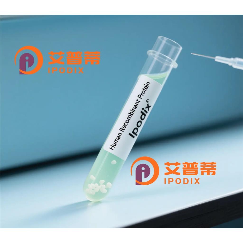 CHD4抗体;CHD4 Antibody—艾普蒂