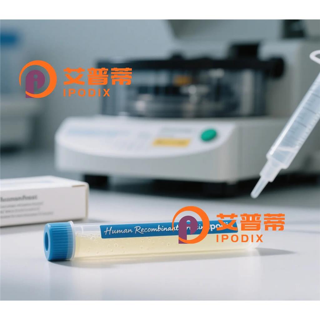 CD163抗体;CD163 Antibody—艾普蒂