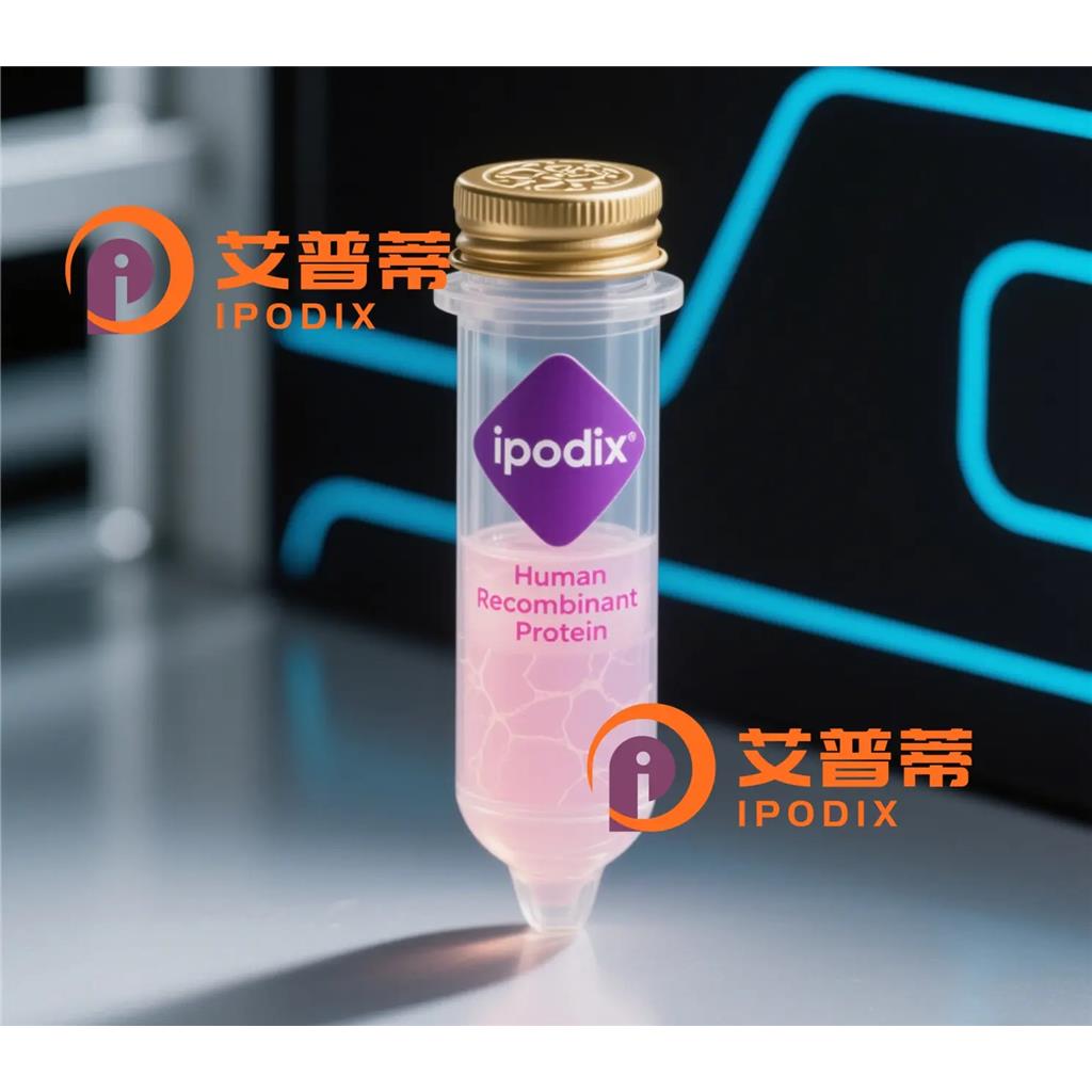 Rat IgG2b抗体;Rat IgG2b Antibody—艾普蒂