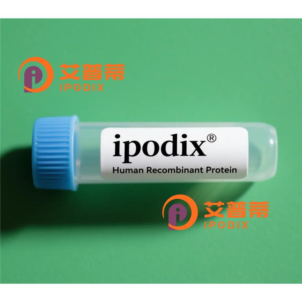 Rat IgG2c抗体;Rat IgG2c Antibody—艾普蒂