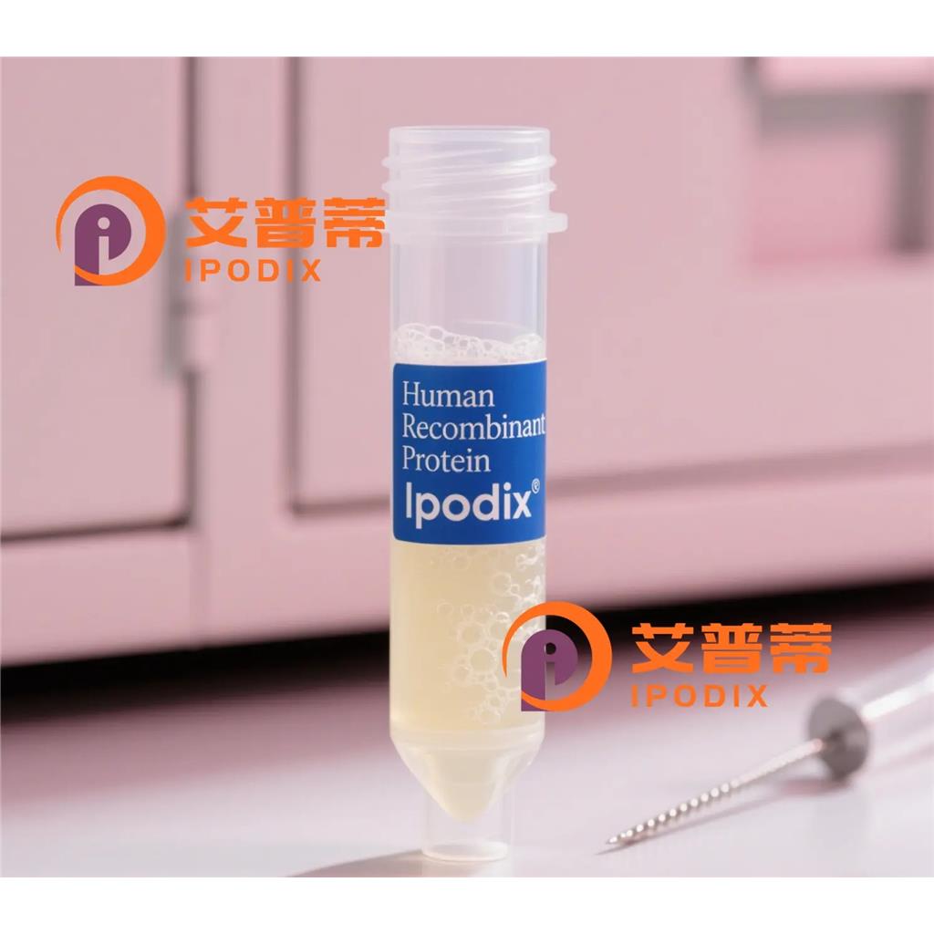 KRT3抗体;KRT3 Antibody—艾普蒂