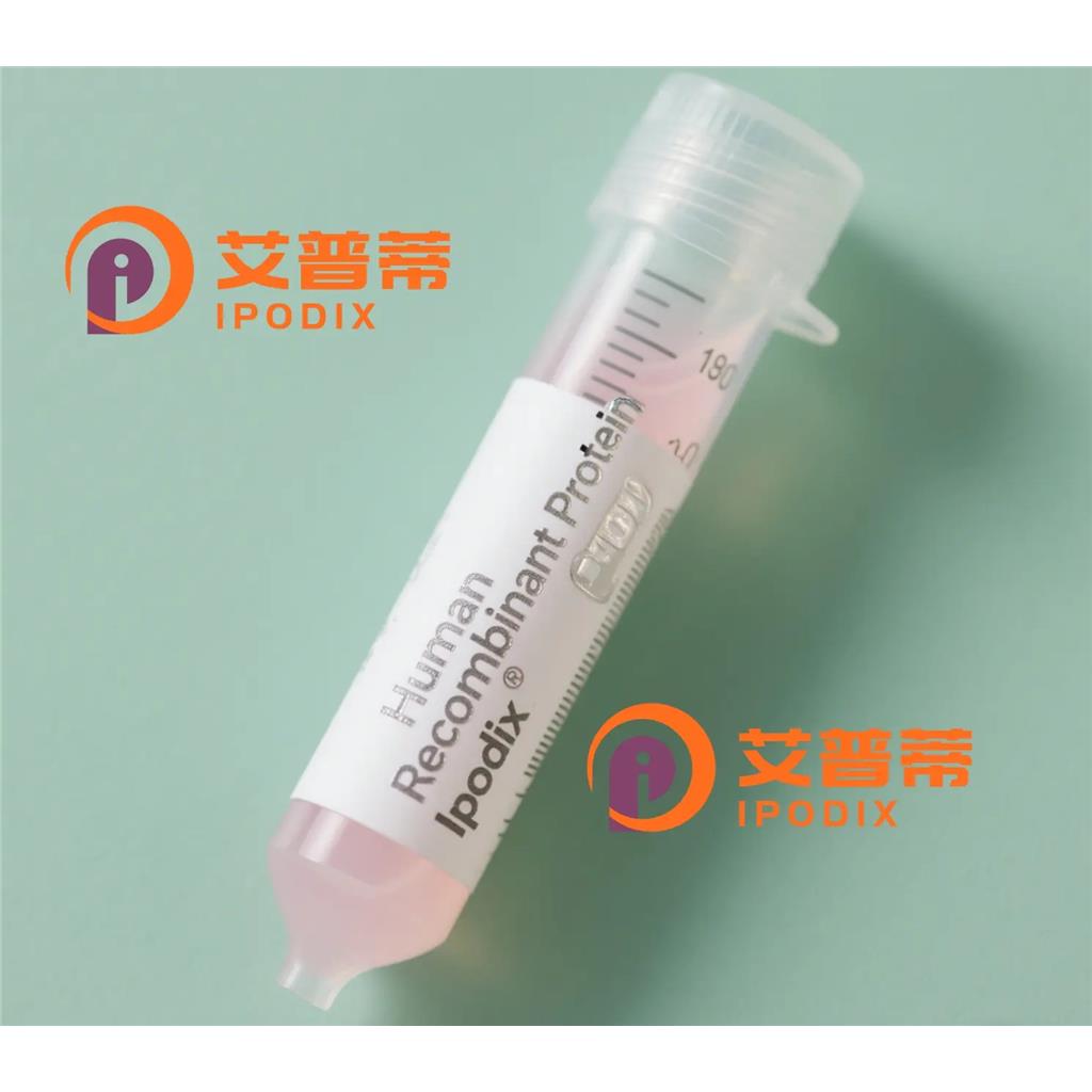 KRT3抗体;KRT3 Antibody—艾普蒂