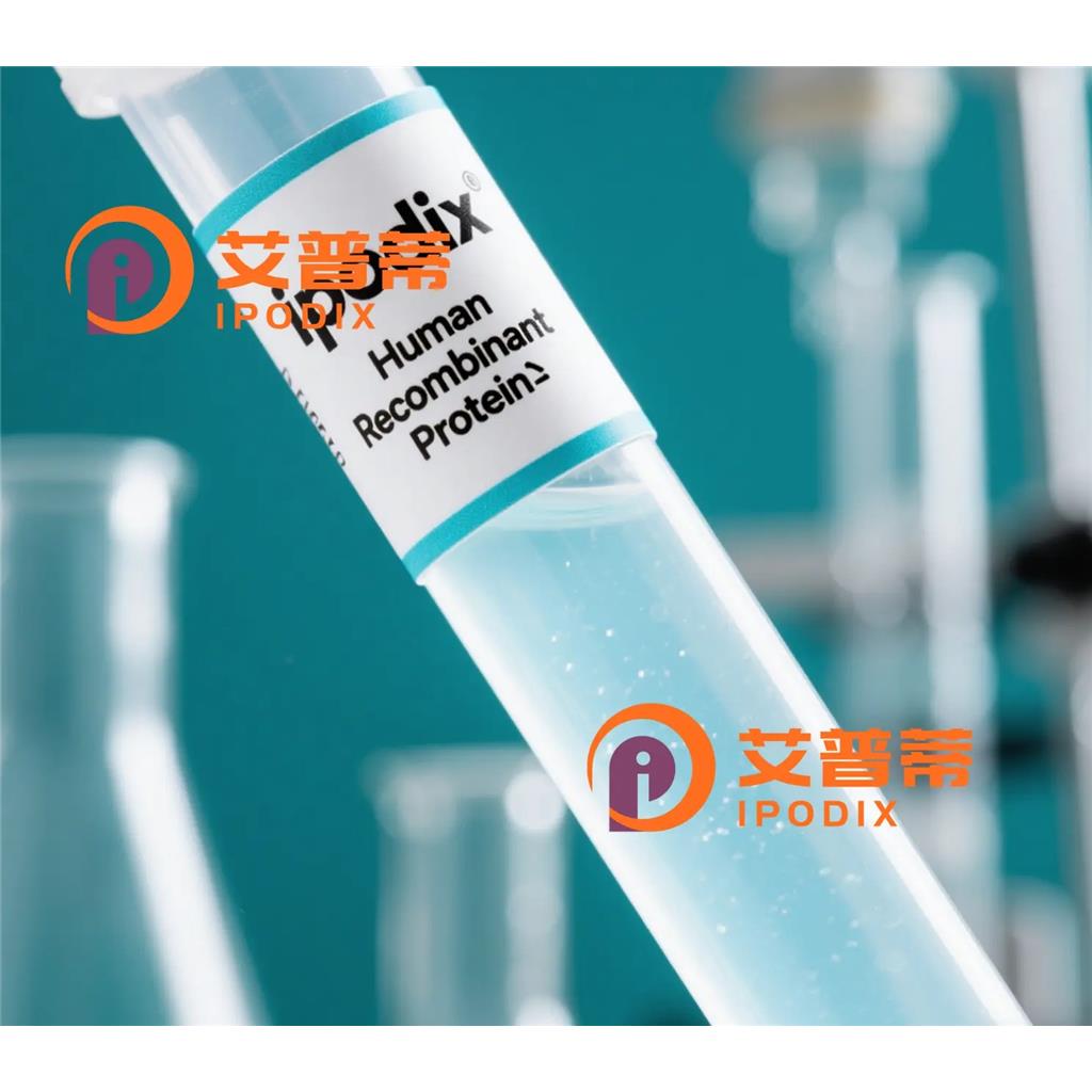 PALLD抗体;PALLD Antibody—艾普蒂