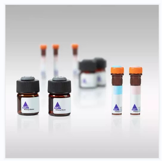 抗组氨酸标签藻红蛋白标记抗体（克隆号：GG11-8F3.5.1）