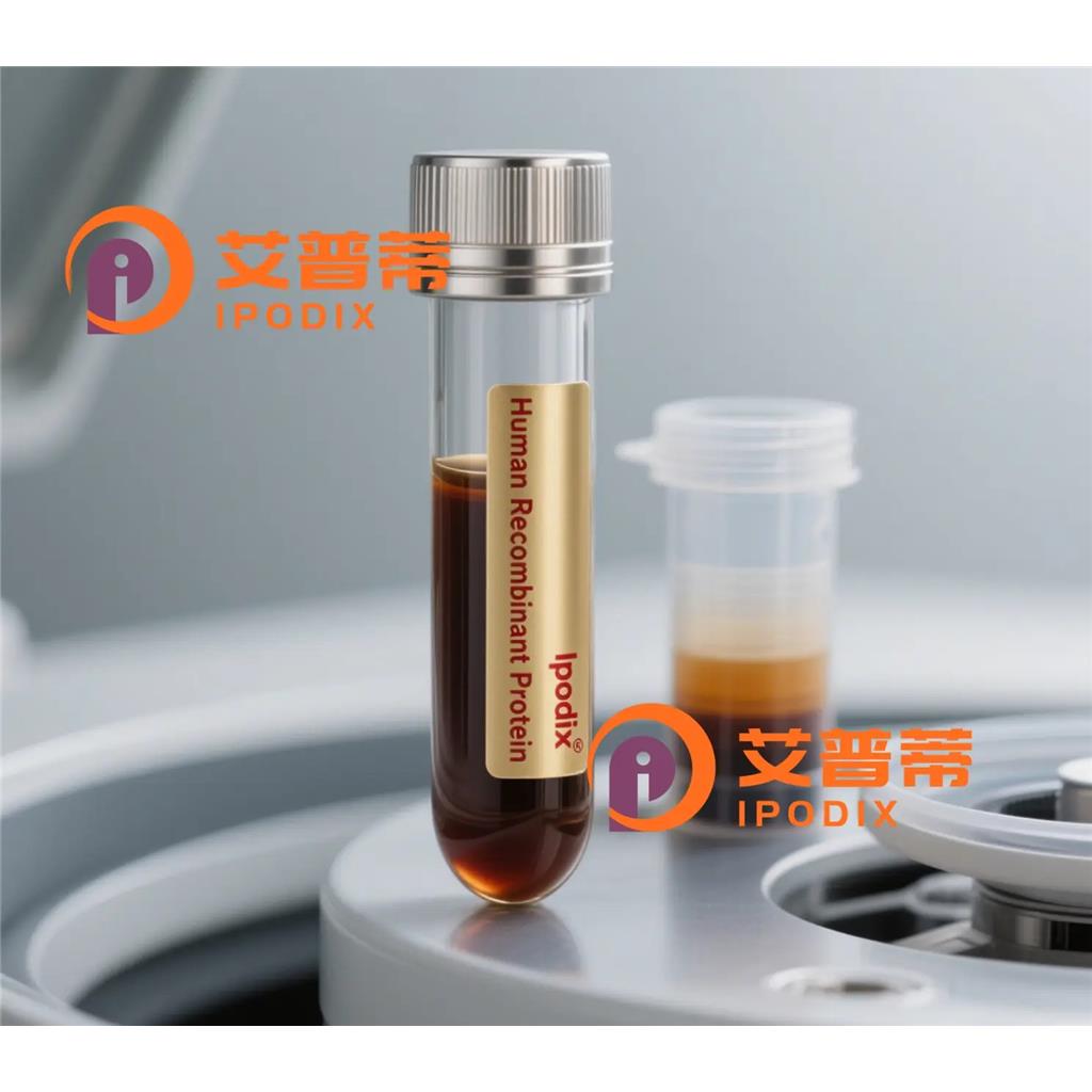 CDHR5抗体;CDHR5 Antibody—艾普蒂