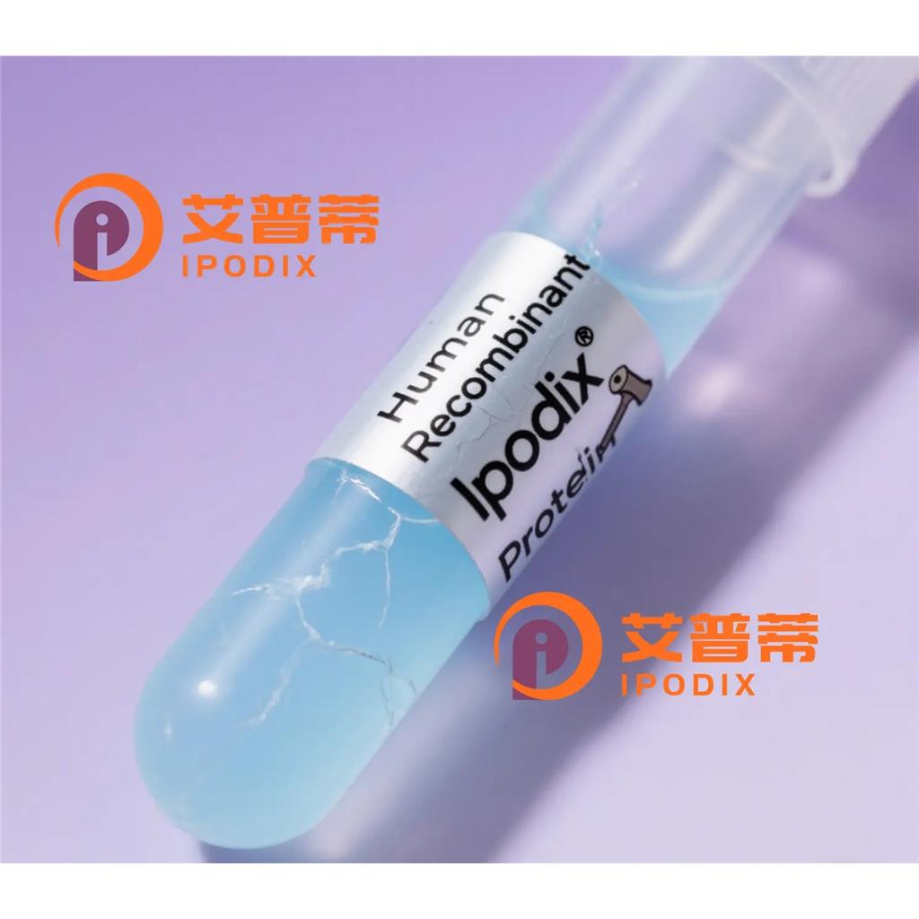 CCL3抗体;CCL3 Antibody—艾普蒂