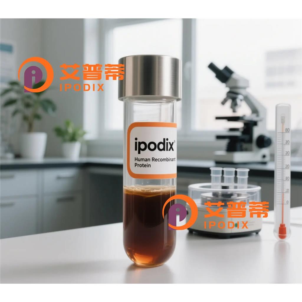 FKBP5抗体;FKBP5 Antibody—艾普蒂