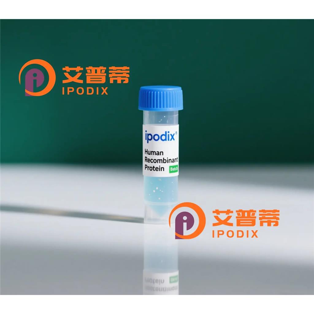 TDO2抗体;TDO2 Antibody—艾普蒂