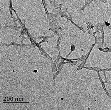 奇宏科技 羧基化纤维素纳米晶须干粉C-CNC-专注纳米纤维素十年,源头供应商