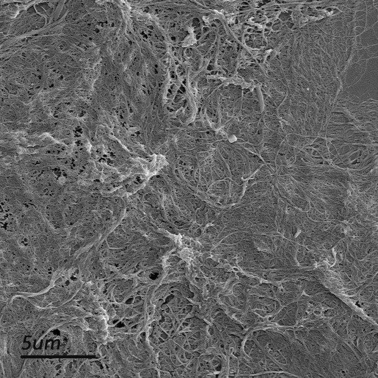 【奇宏科技】微纤化纤维素MFC膏状/干粉-专注纳米纤维素十年,源头供应商