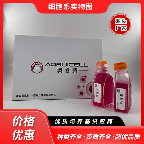 Hep 3B2.1-7-LUC（人肝癌细胞-荧光素酶标记）