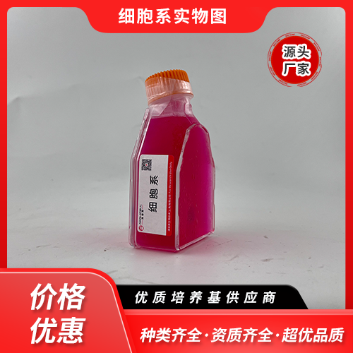 AE-1（小鼠杂交瘤细胞抗AChE）