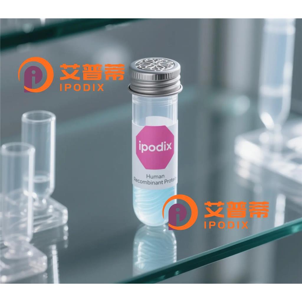 CBLL2抗体;CBLL2 Antibody—艾普蒂