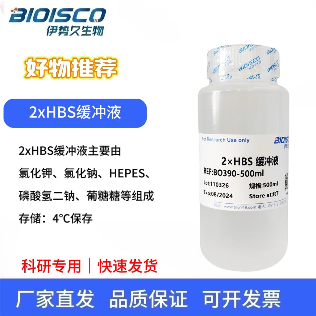 2×HBS缓冲液