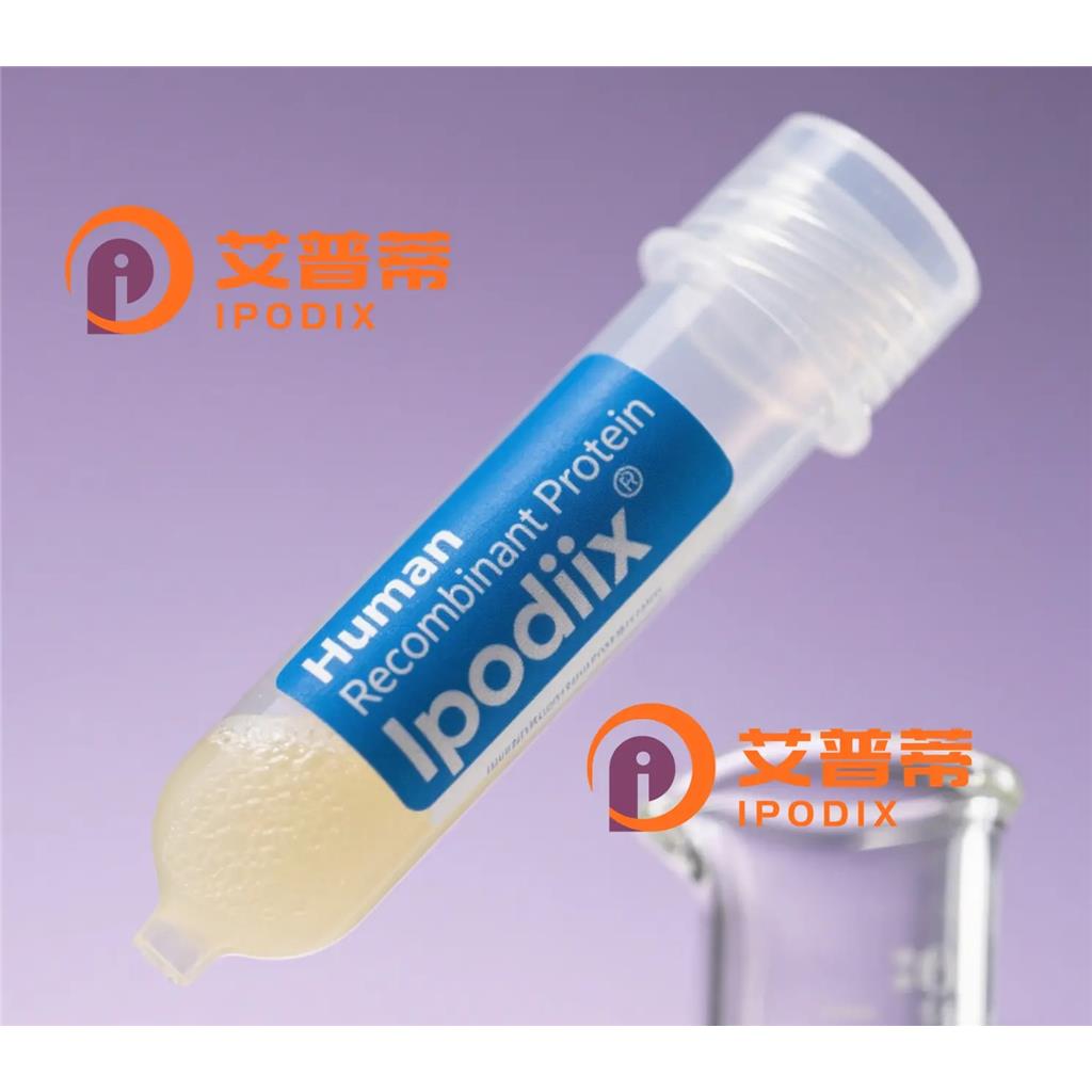 UPB1抗体;UPB1 Antibody—艾普蒂