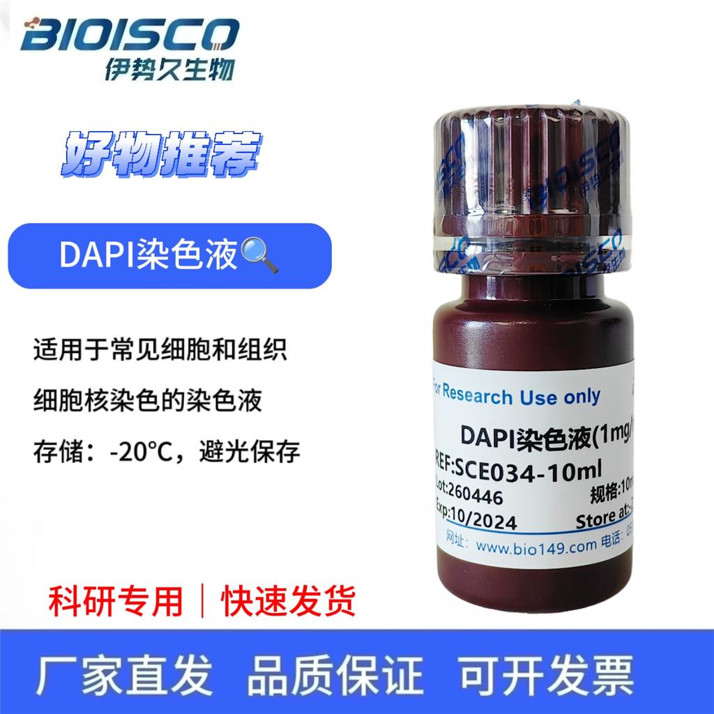 DAPI染色液(1mg/ml)