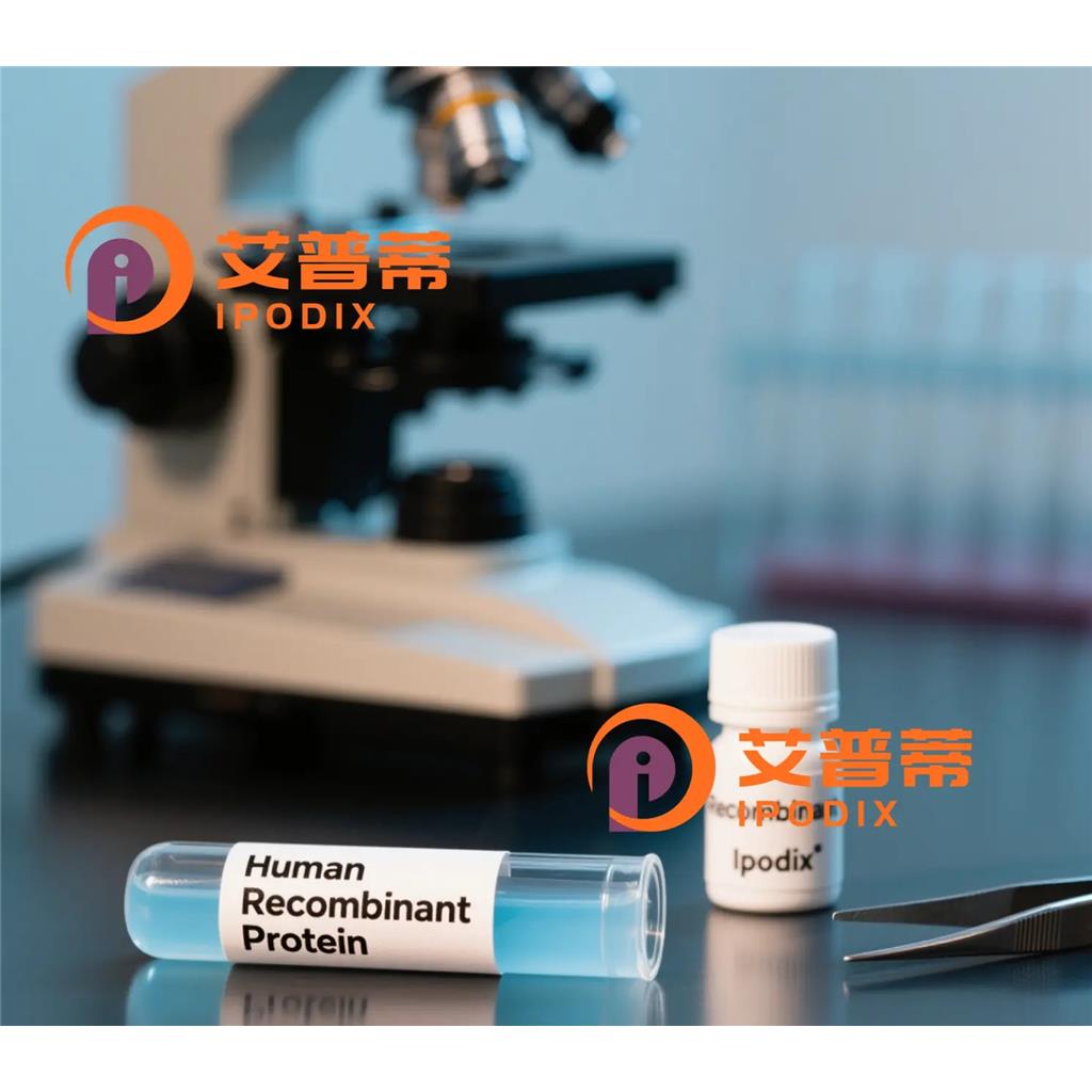 Tripeptidylpeptidase2抗体;Tripeptidylpeptidase2 Antibody—艾普蒂