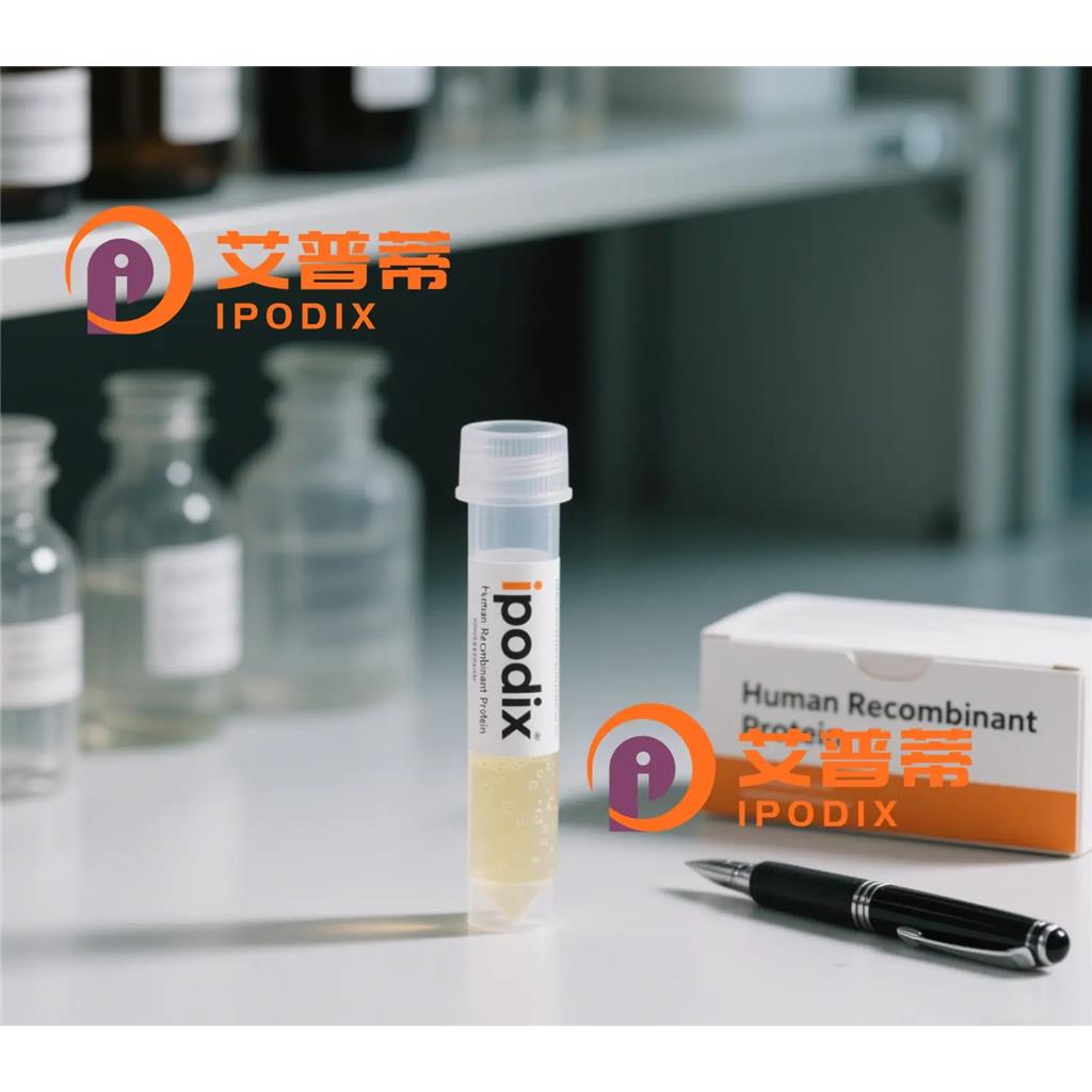 Apc6/CDC16抗体;Apc6/CDC16 Antibody—艾普蒂