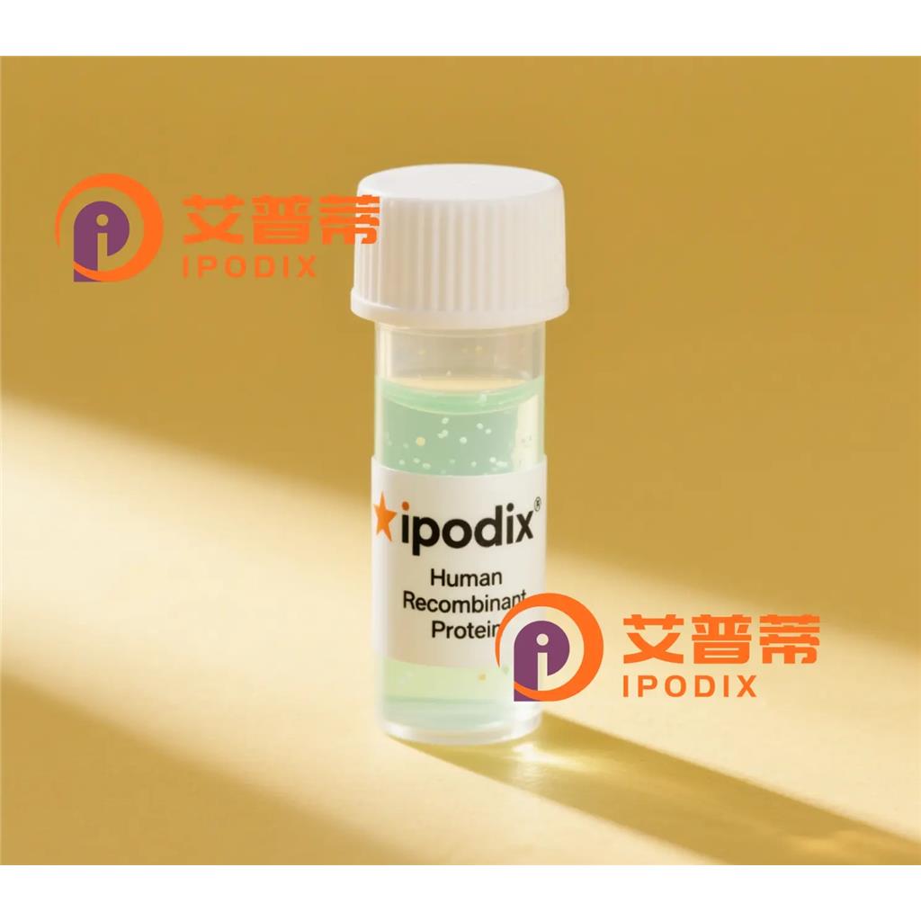 CollagenXVII抗体;CollagenXVII Antibody—艾普蒂