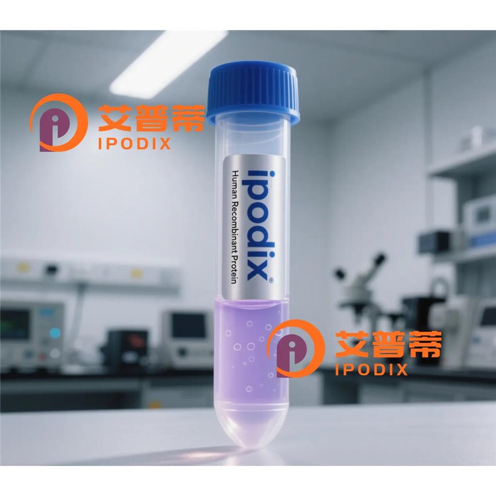 KRAS+HRAS+NRAS抗体;KRAS+HRAS+NRAS Antibody—艾普蒂