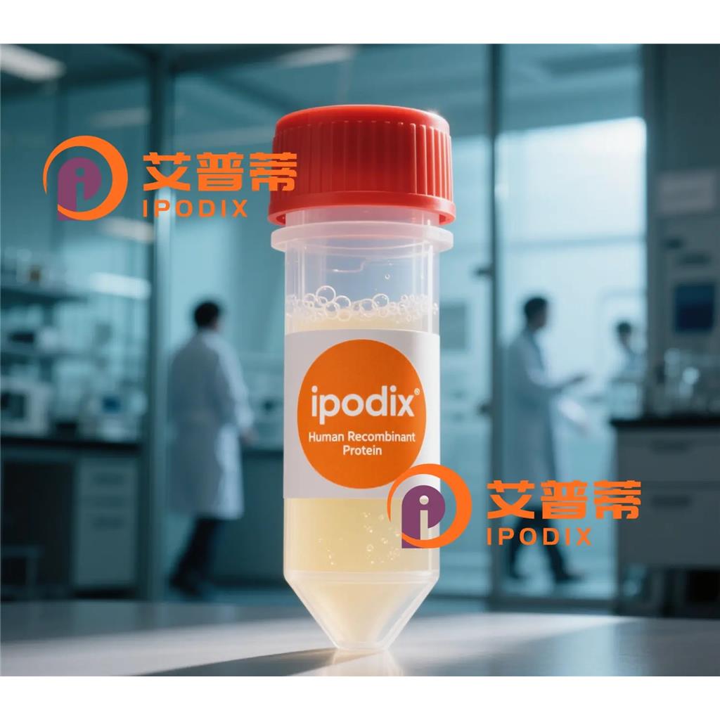 LaminBReceptor抗体;LaminBReceptor Antibody—艾普蒂