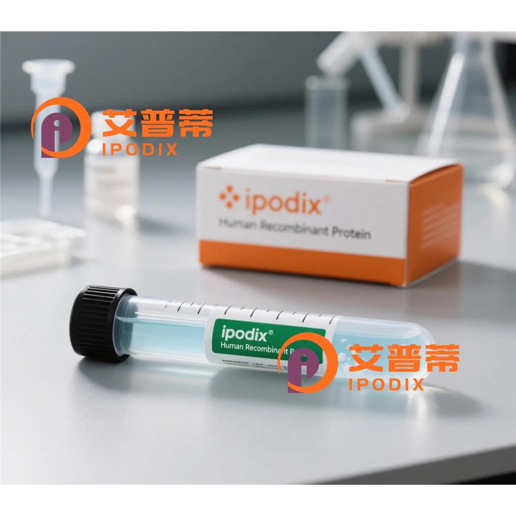 Cytokeratin16抗体;Cytokeratin16 Antibody—艾普蒂